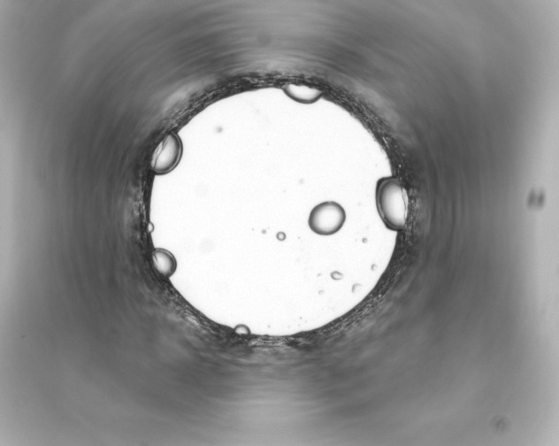 X0000093620918200711121232