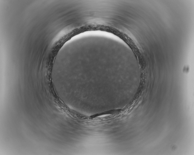 X0000093620919200711121232