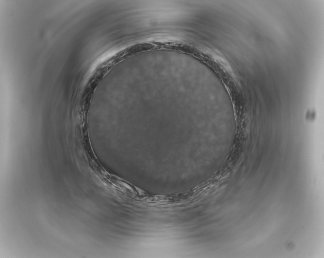 X0000093620920200711121232