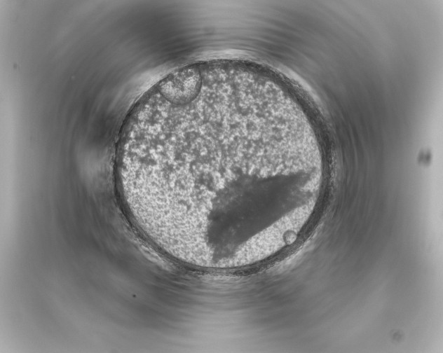 X0000093620921200711121232