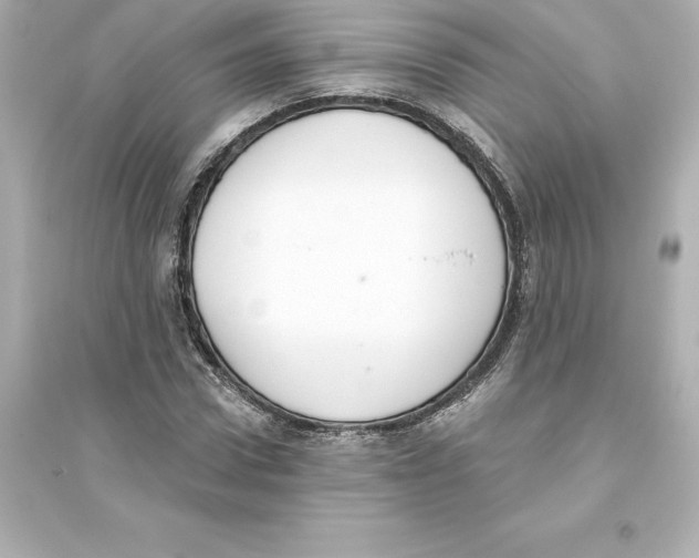 X0000093620922200711121232