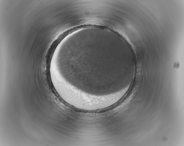 X0000093620923200711121232