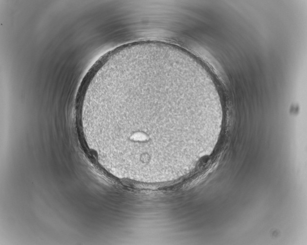 X0000093620924200711121232