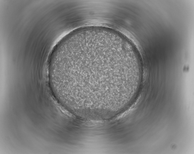 X0000093620925200711121232