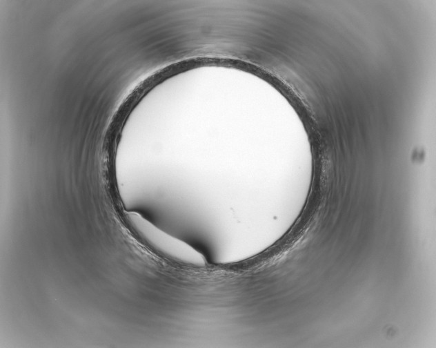 X0000093620926200711121232