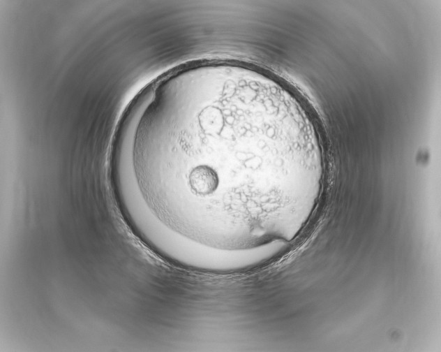 X0000093620928200711121232