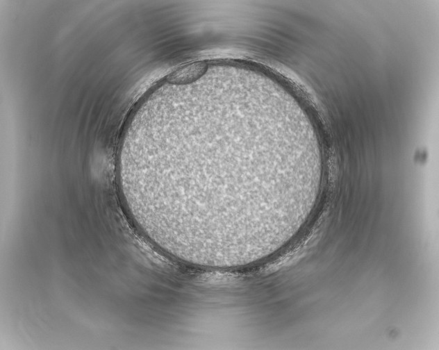 X0000093620929200711121232