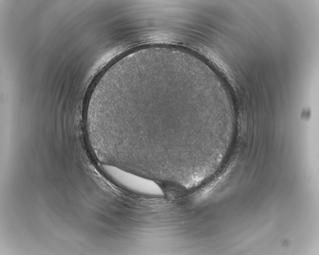 X0000093620930200711121232