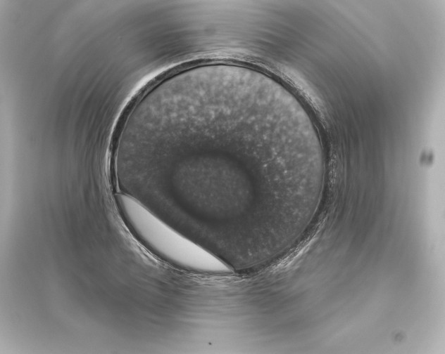 X0000093620932200711121232