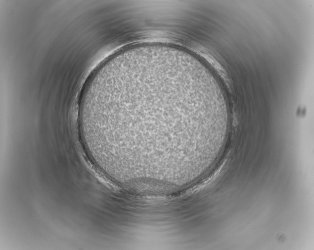 X0000093620933200711121232