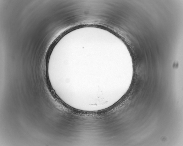 X0000093620934200711121232