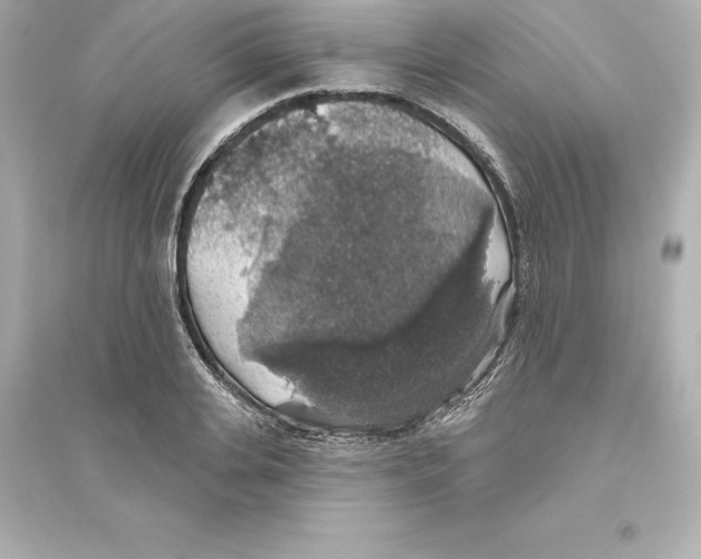 X0000093620935200711121232