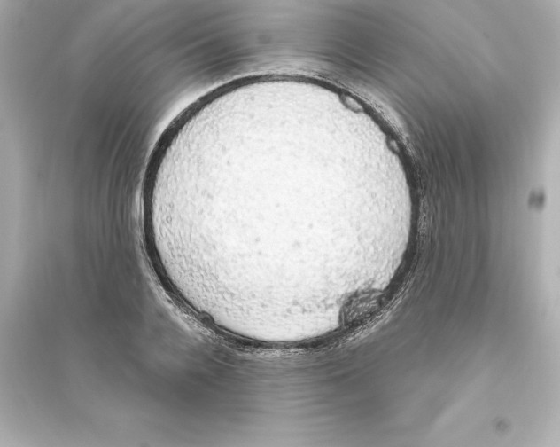 X0000093620936200711121232