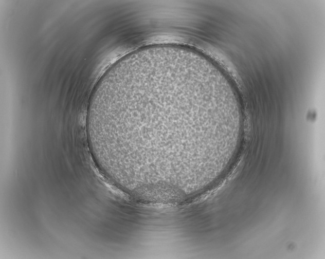 X0000093620937200711121232