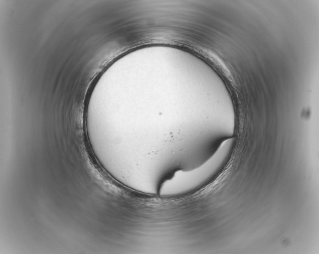 X0000093620938200711121232