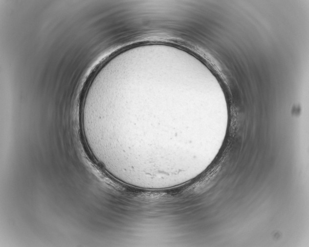 X0000093620939200711121232