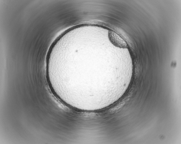 X0000093620940200711121232