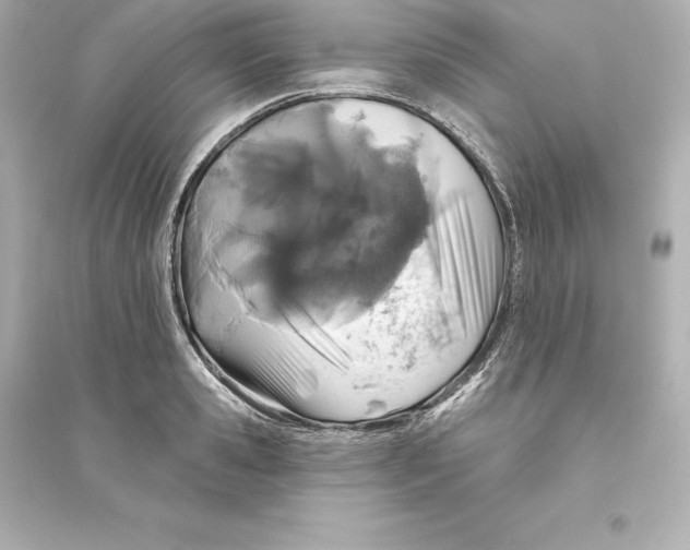 X0000093620941200711121232