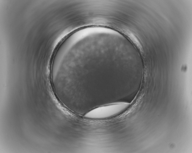 X0000093620944200711121232