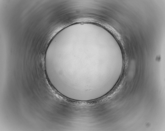 X0000093620945200711121232