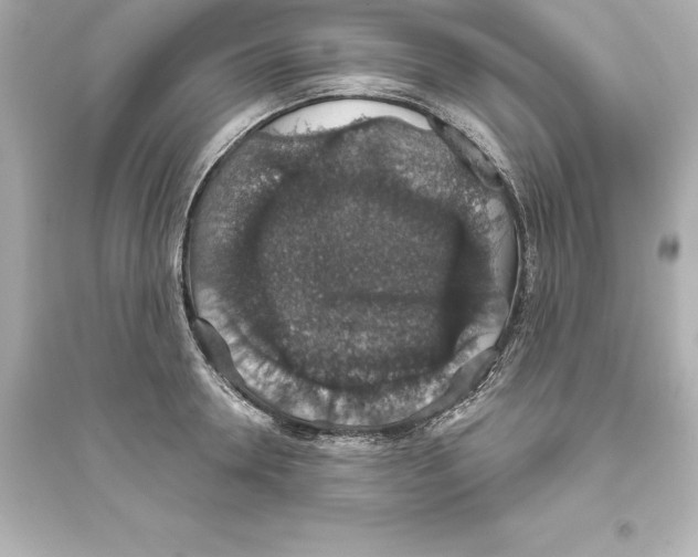 X0000093620946200711121232