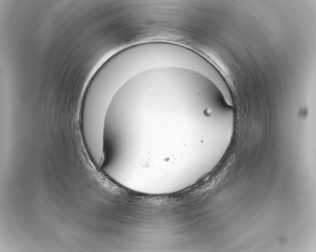 X0000093620948200711121232