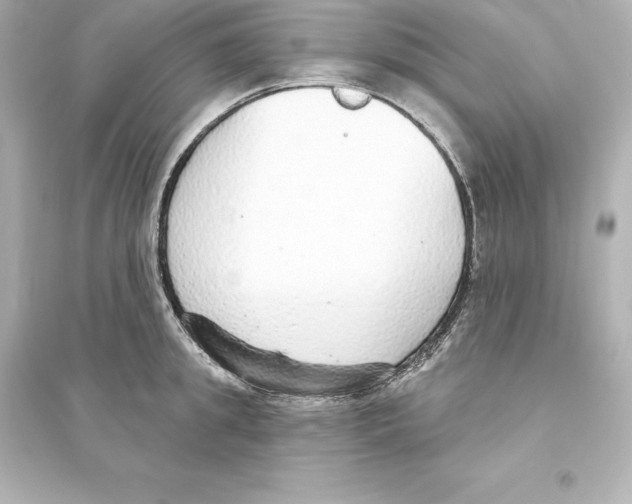 X0000093620949200711121232