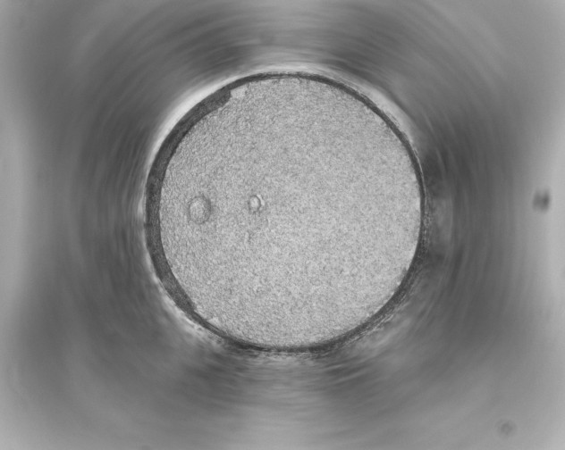 X0000093620951200711121232