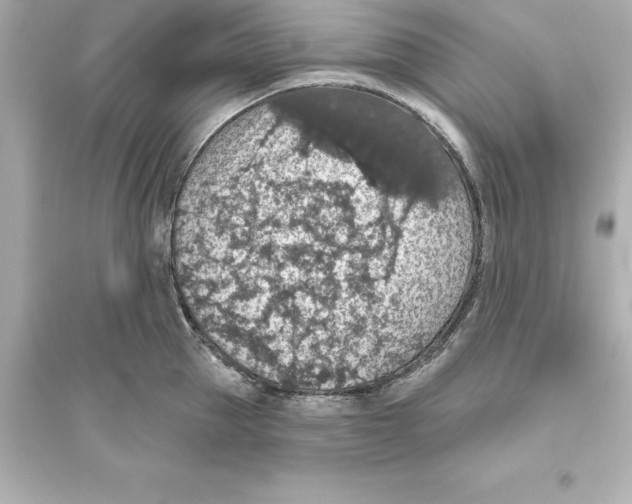 X0000093620953200711121232