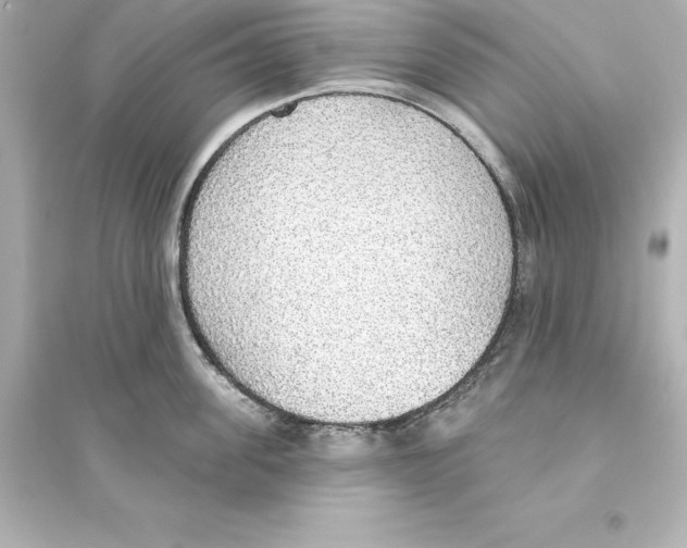 X0000093620955200711121232