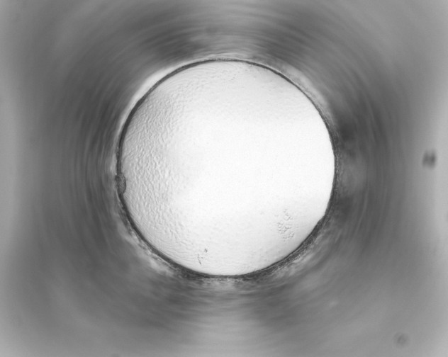 X0000093620956200711121232