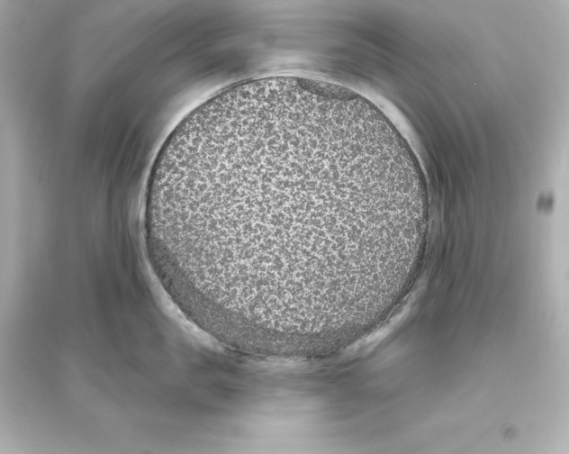 X0000093620957200711121232