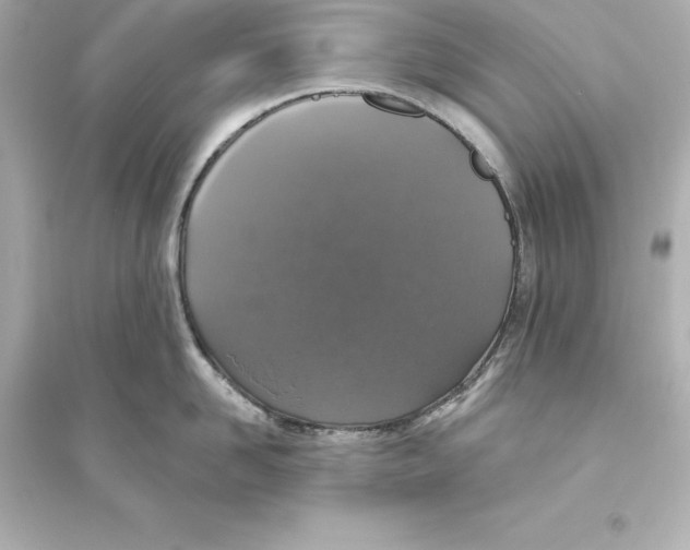 X0000093620958200711121232