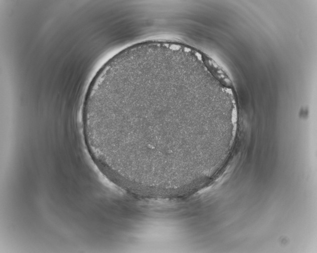 X0000093620959200711121232