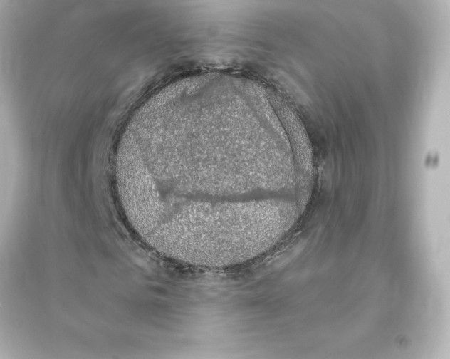 X0000093620961200711121232