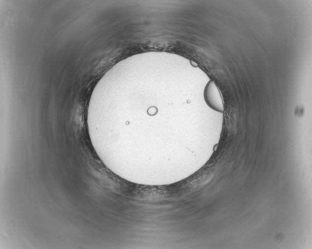 X0000093620962200711121232