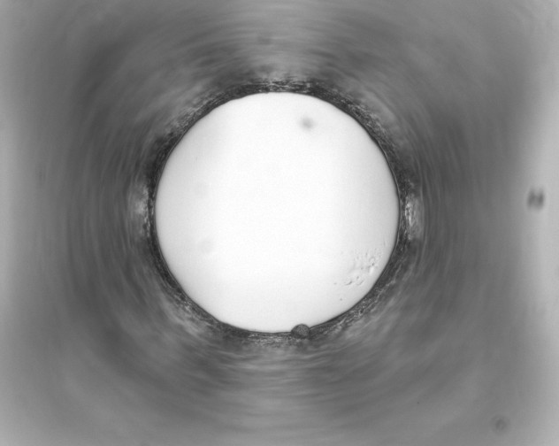 X0000093620963200711121232