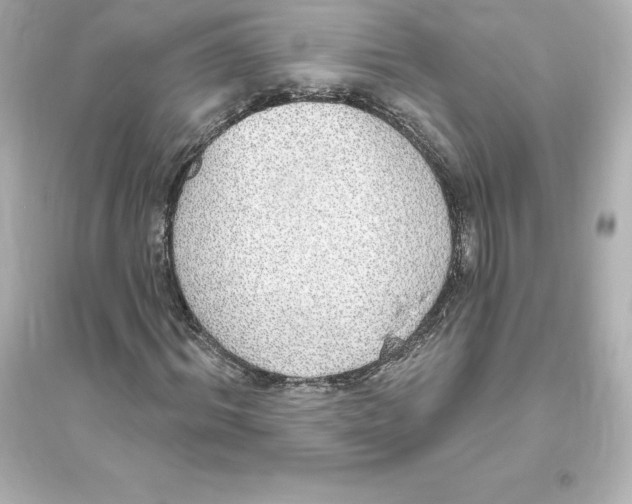 X0000093620964200711121232