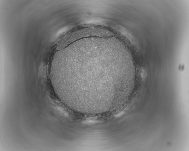 X0000093620965200711121232