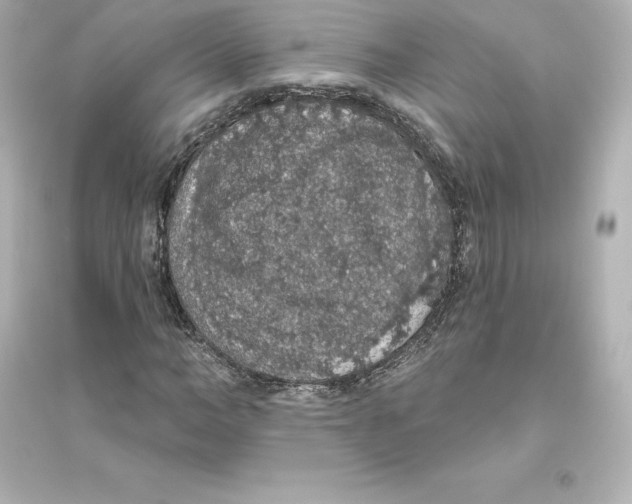 X0000093620966200711121232