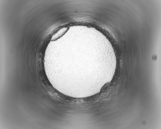 X0000093620968200711121232