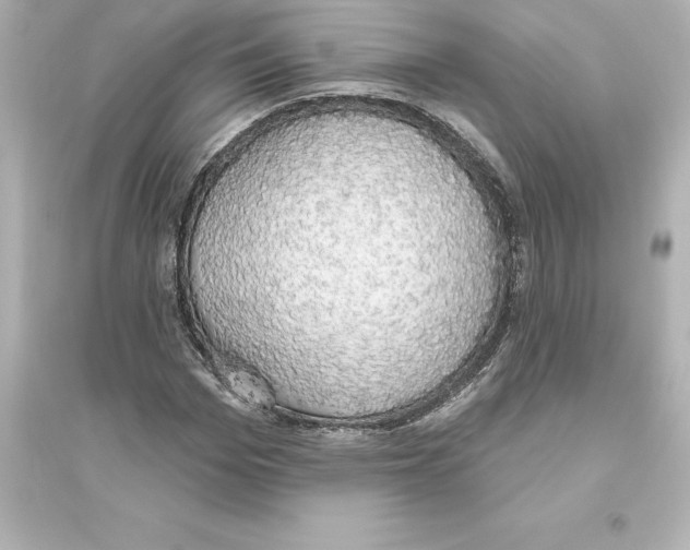 X0000093620969200711121232