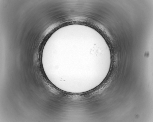 X0000093620970200711121232