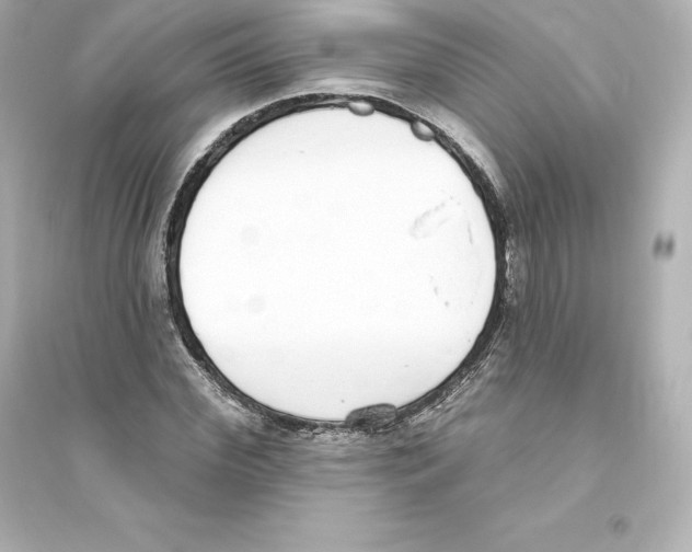 X0000093620972200711121232