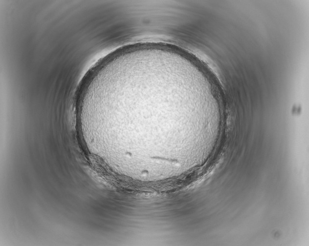 X0000093620973200711121232