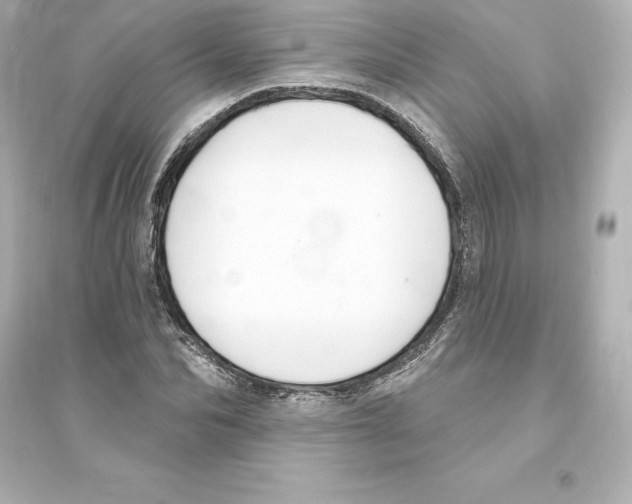 X0000093620974200711121232