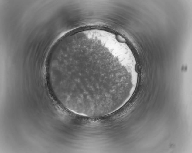 X0000093620975200711121232