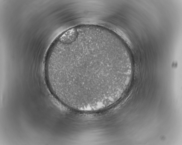 X0000093620976200711121232