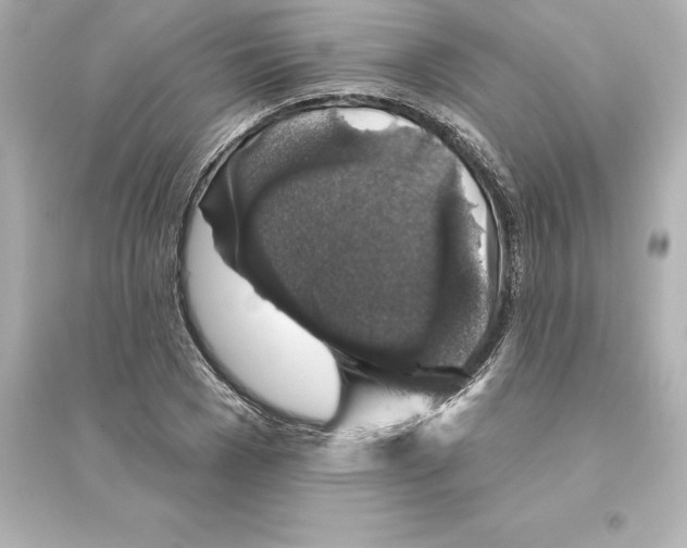 X0000093620977200711121232