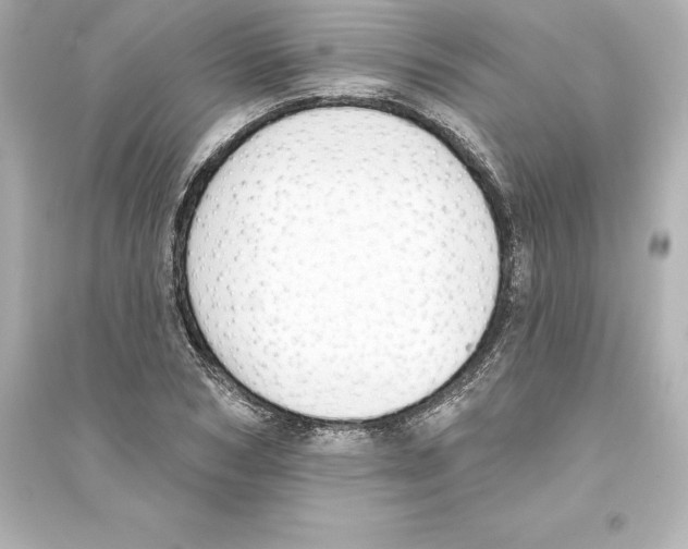 X0000093620978200711121231